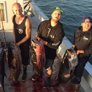 Meet your Posher, Jake